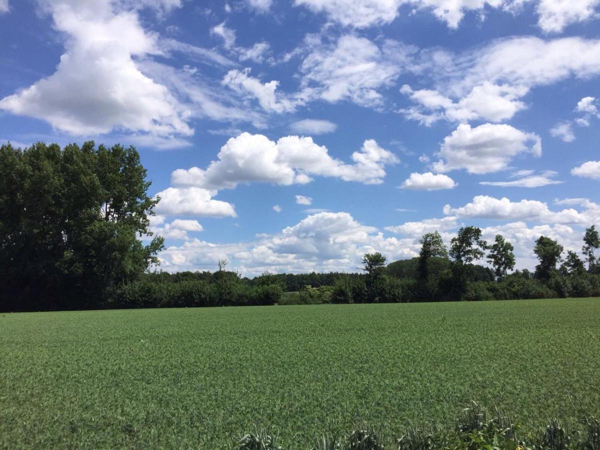 Hoeve Delshorst Heibloem エクステリア 写真