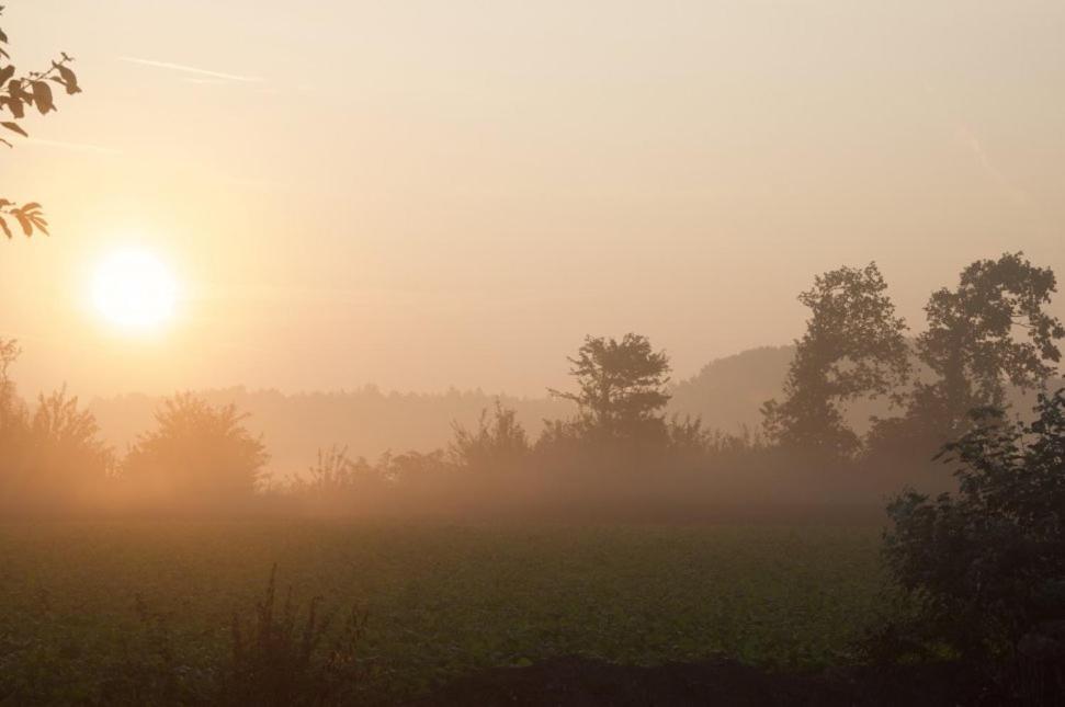 Hoeve Delshorst Heibloem エクステリア 写真